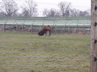 Blair Drummond Safari Park
Description in Album Category

